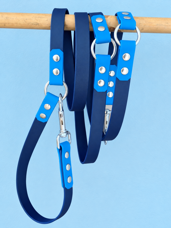 NAVY Laisse chien en biothane 3 points multipositions