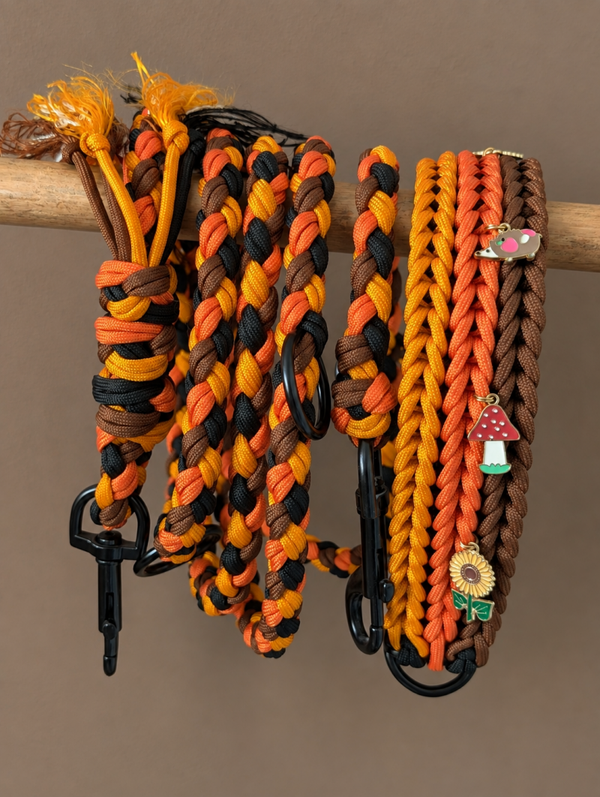 L AUTUMN Ensemble chien collier + laisse 3 points multipositions