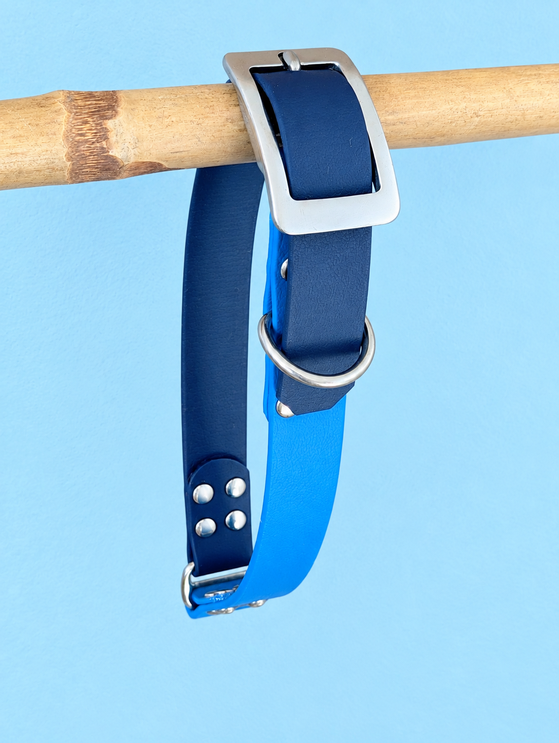 NAVY Collier chien biothane L