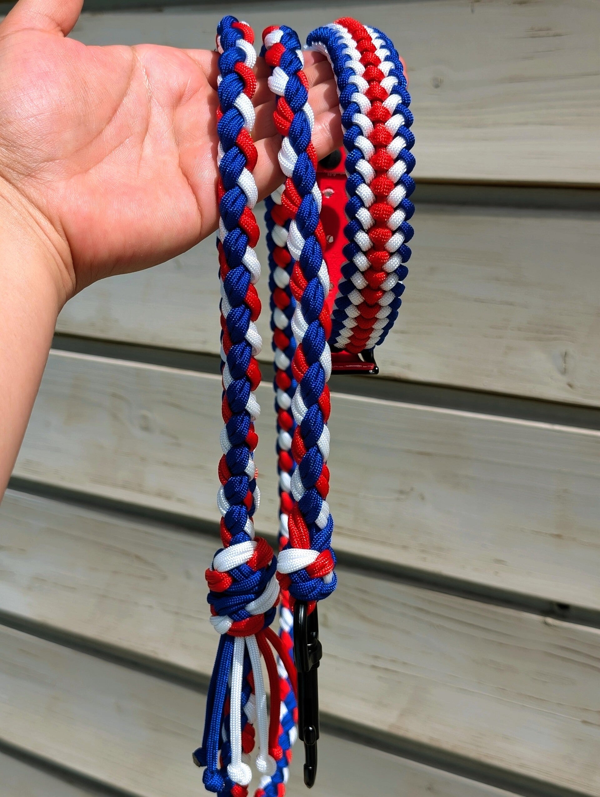 image-10-standard.jpg
