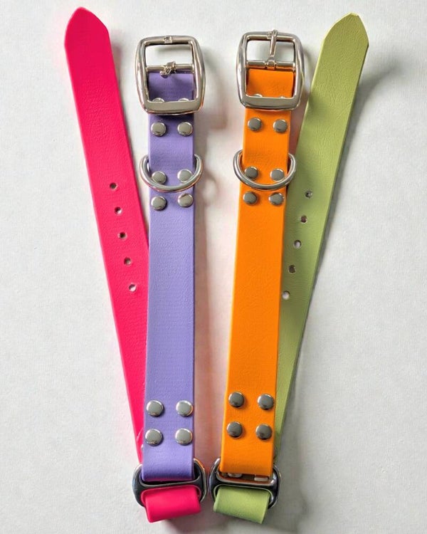 Collier bicolore chien en biothane