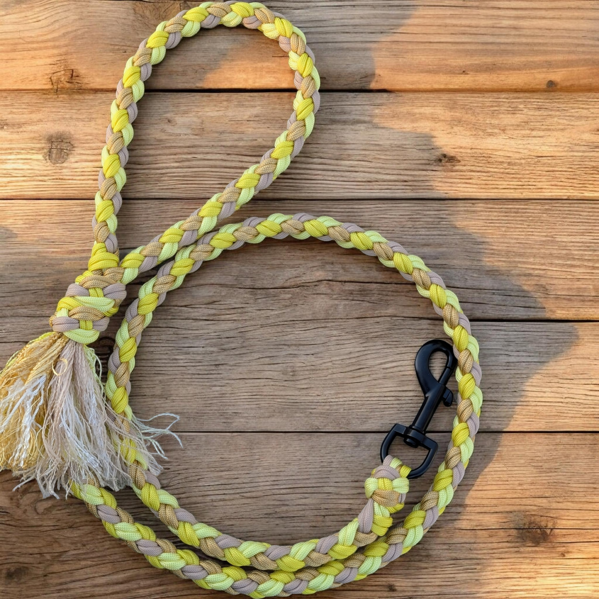 GOLD laisse chien 1m20 en paracorde