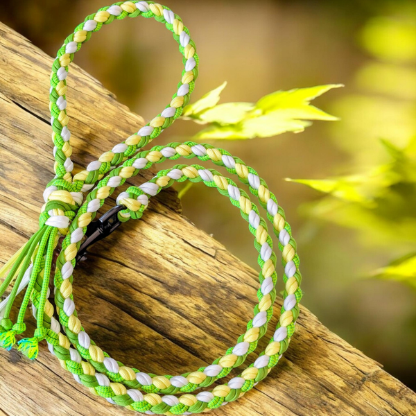 CAMELEON laisse chien 1m40 en paracorde