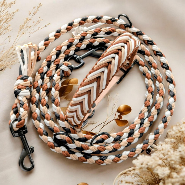 L MOCCA Ensemble chien collier + laisse 3 points multipositions