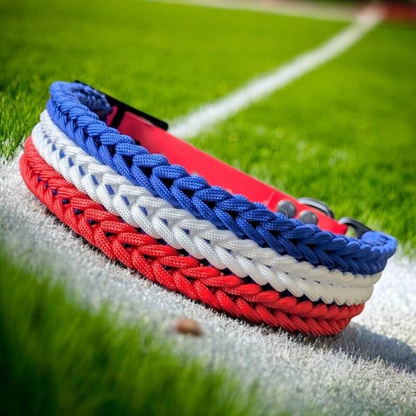 L FOOT collier chien paracorde