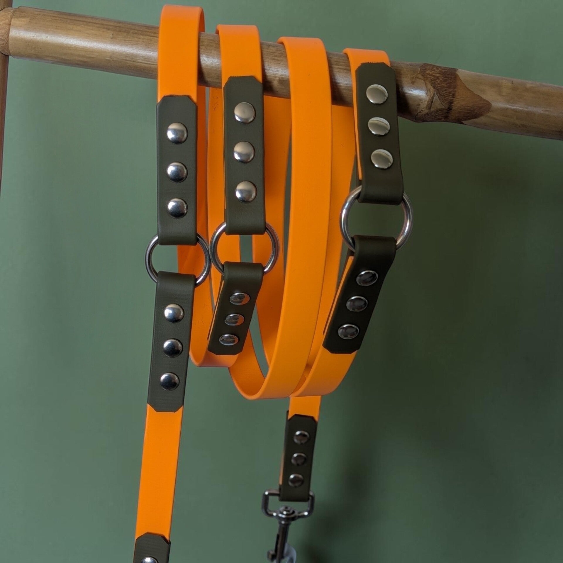Longe/Laisse bicolore chien en biothane