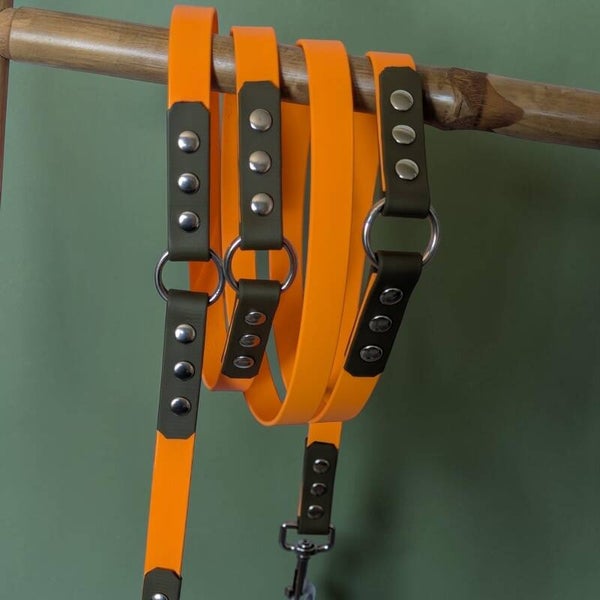 Longe/Laisse bicolore chien en biothane