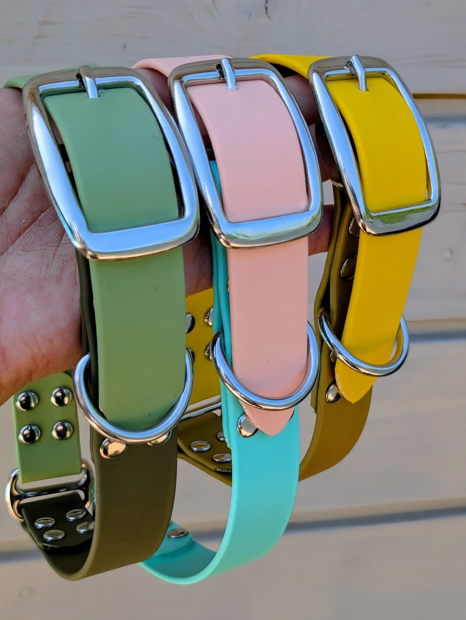Collier bicolore chien en biothane