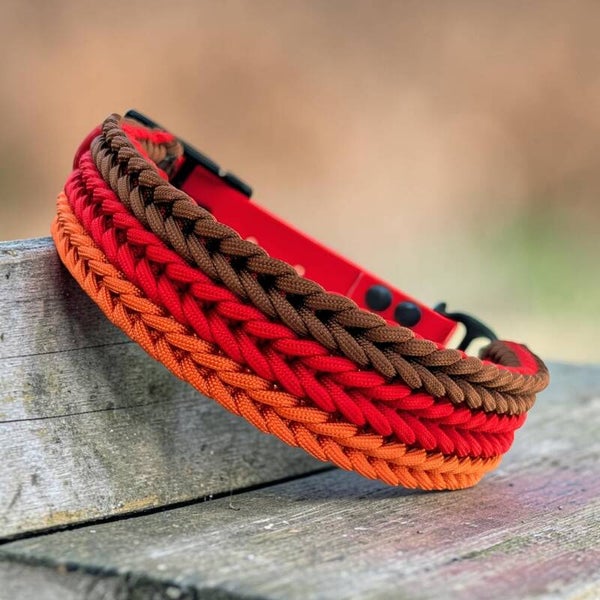 TRIO collier chien tressé en paracorde