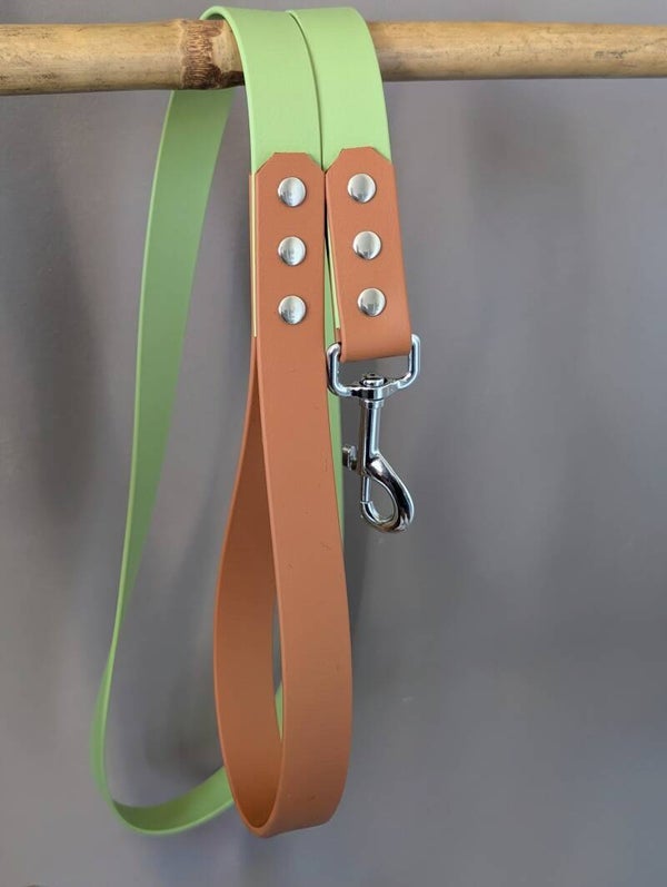 GUACAMOLE Laisse chien en biothane 1m50