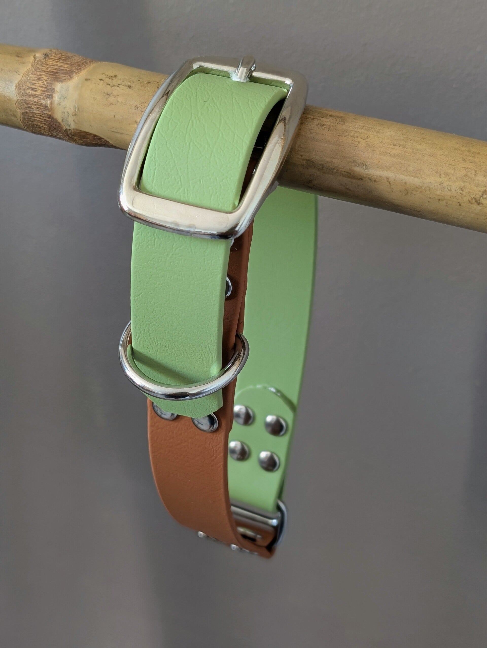 GUACAMOLE Collier chien biothane M