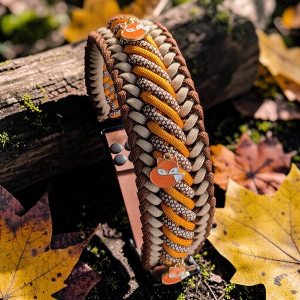 L FOX collier chien paracorde