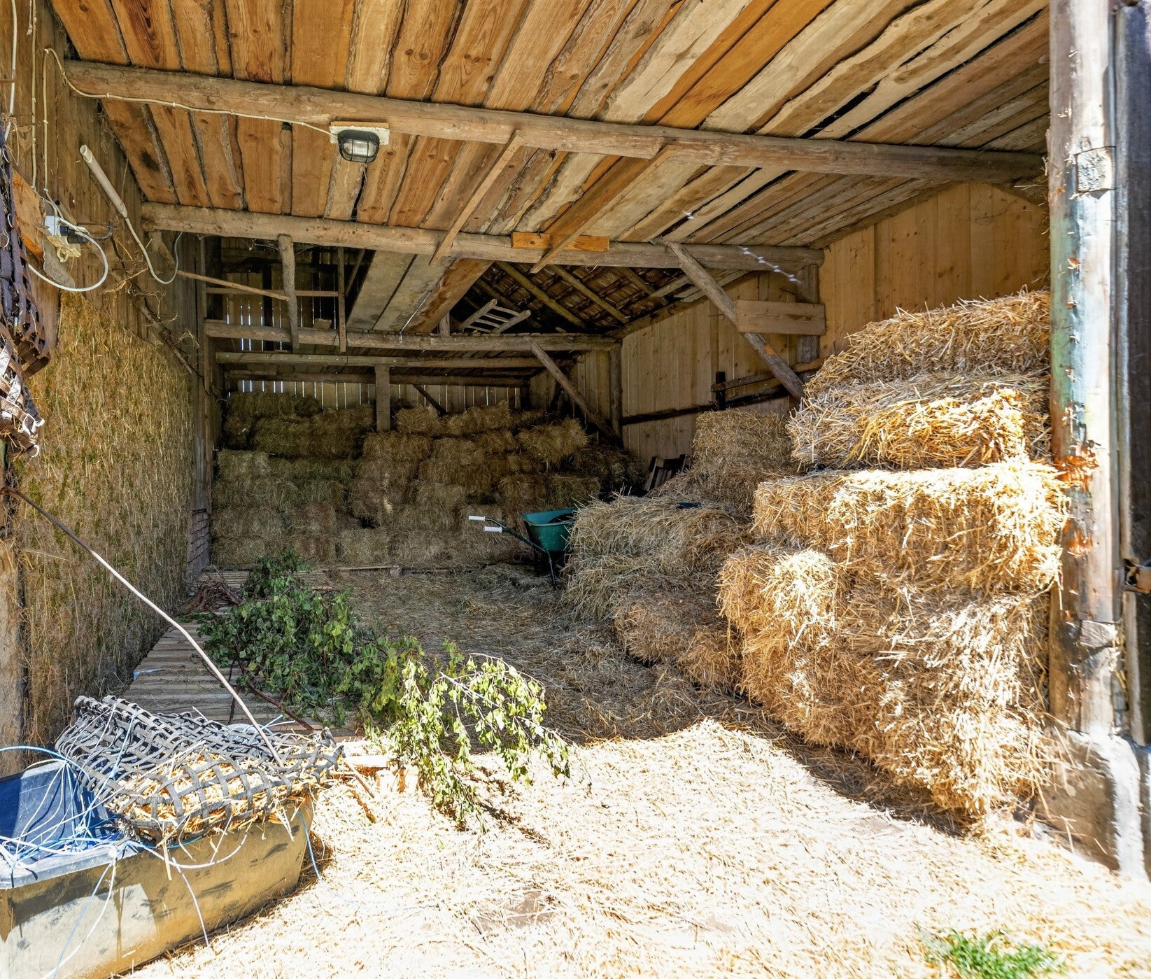 immospace-einfamilienhaus-m-nstetten-26-standard-pr9p83.jpg