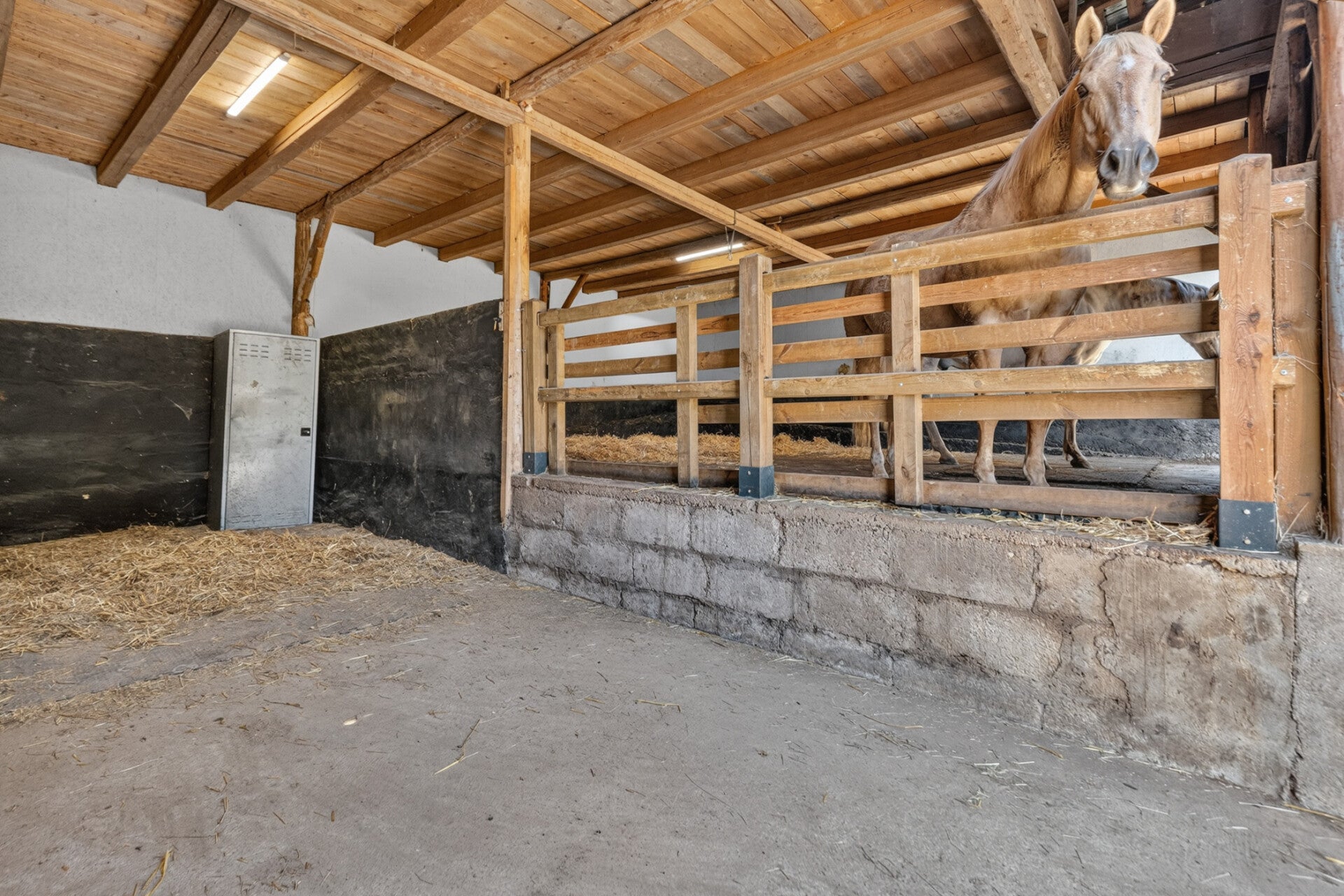 immospace-einfamilienhaus-m-nstetten-39-standard-04im8w.jpg