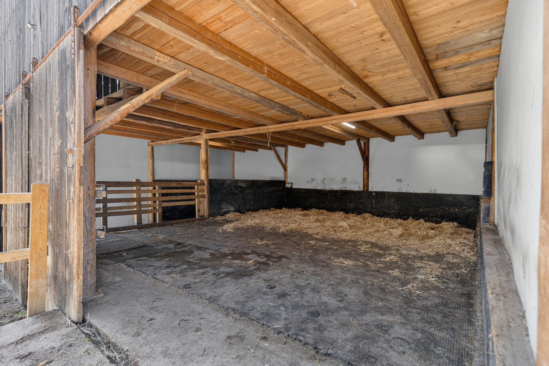immospace-einfamilienhaus-m-nstetten-40-standard-e8276t.jpg