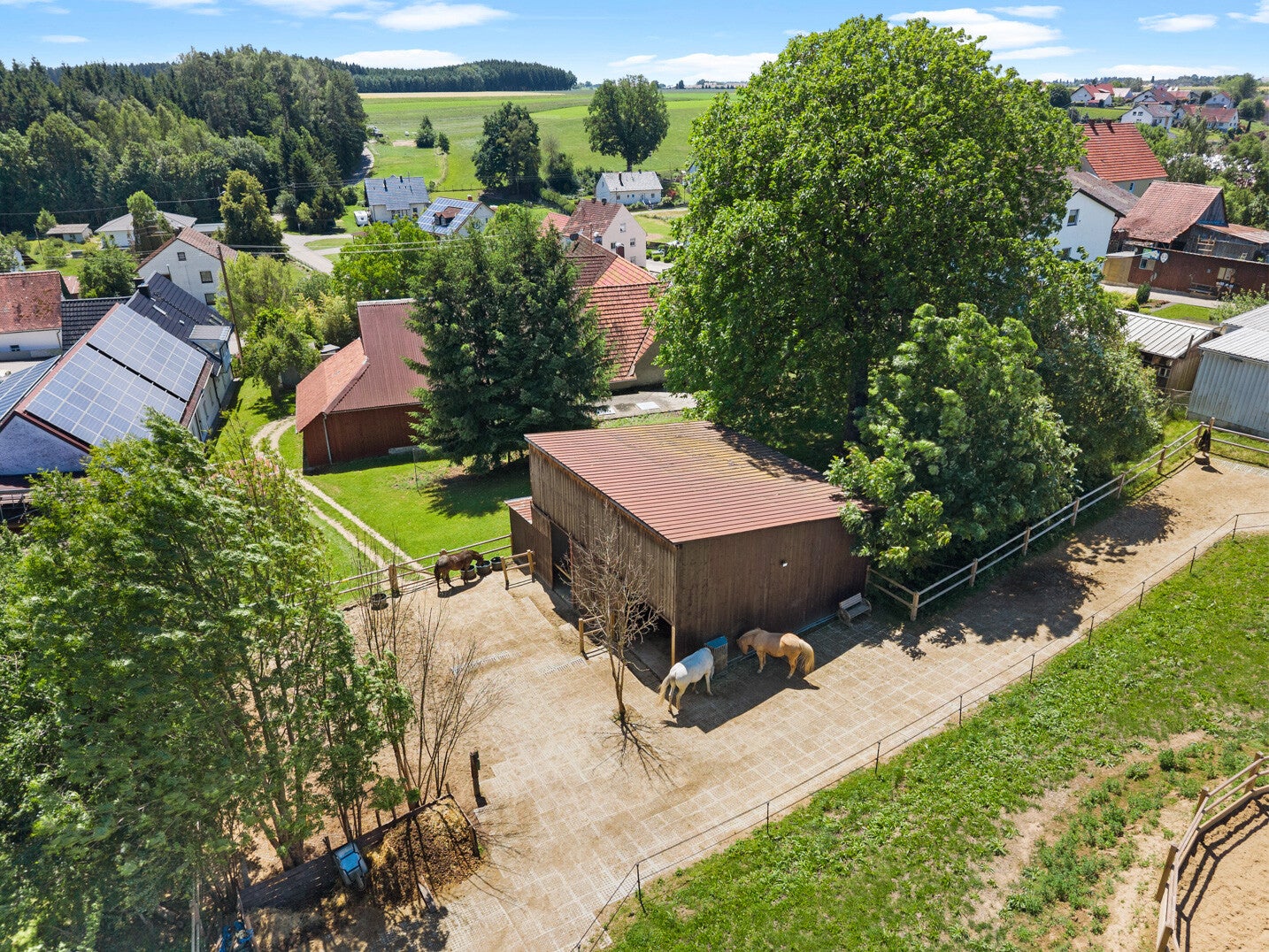 immospace-einfamilienhaus-m-nstetten-9-standard-f3sm18.jpg