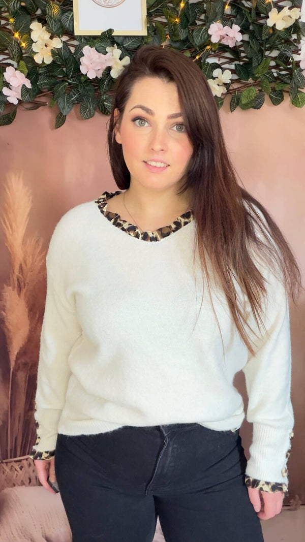 Pull ELYA col V léopard, TU du 36 au 42
