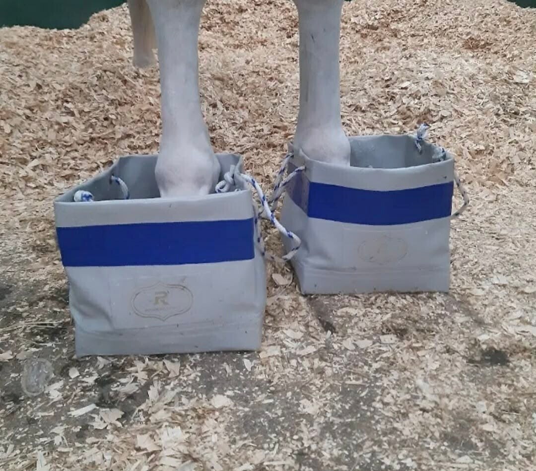 Horse spa hoof ice boots
