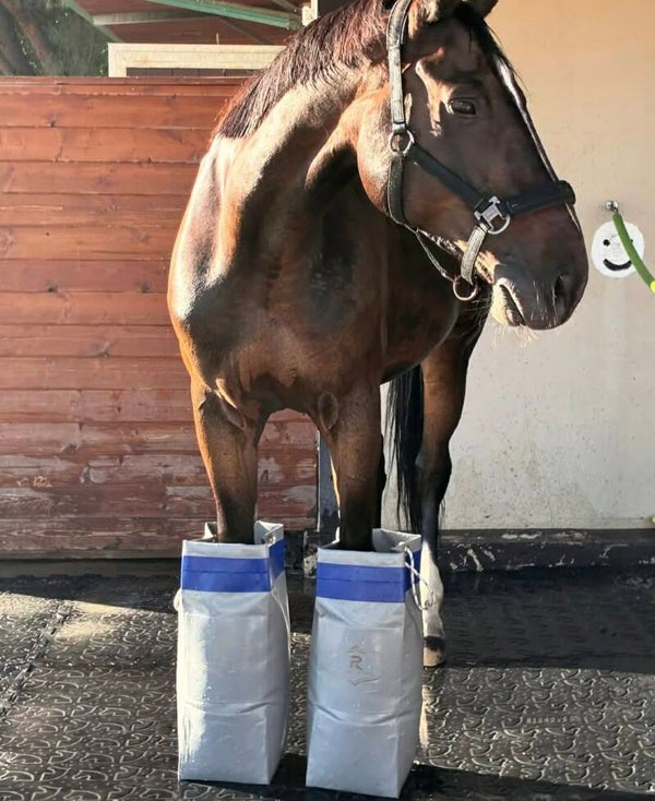 Horse spa ice boots
