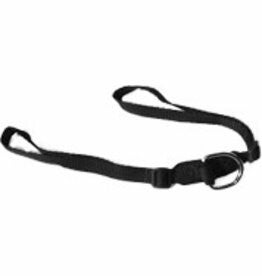 Point 2 - saddlestrap