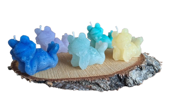 Kikkertjes op een plank