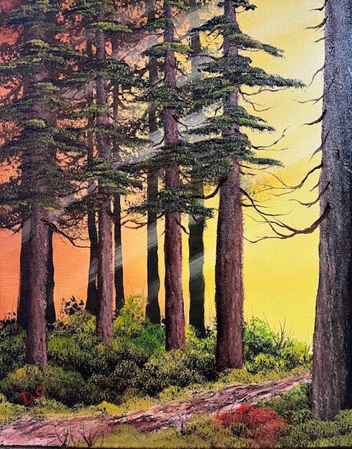 Forrest Light 16x20" Canvas