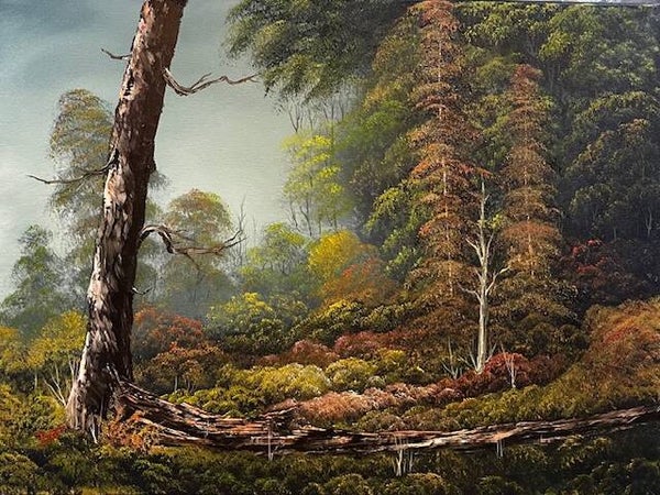 Fallen Tree in the Woods 18x24" Canvas