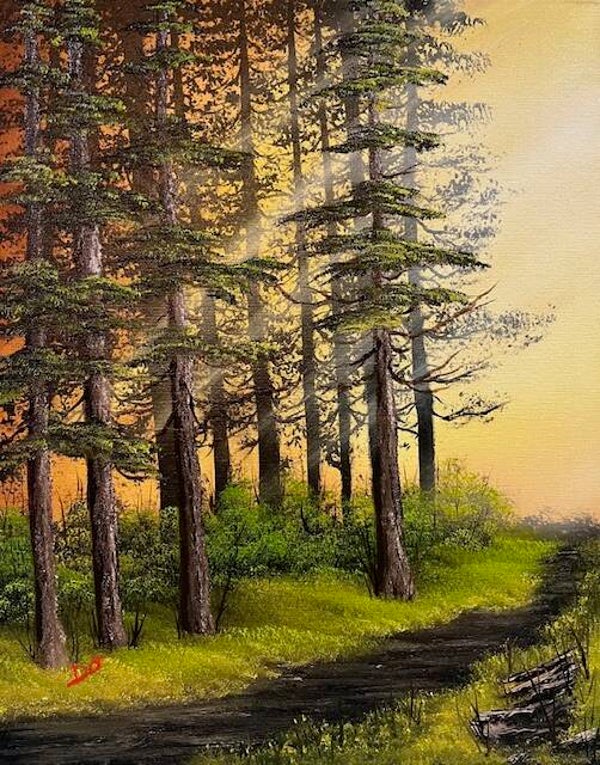 Path to the Lighted Woods 16x20" Canvas