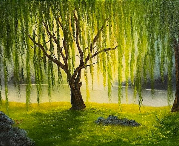 Tranquil Willow 16x20" Canvas