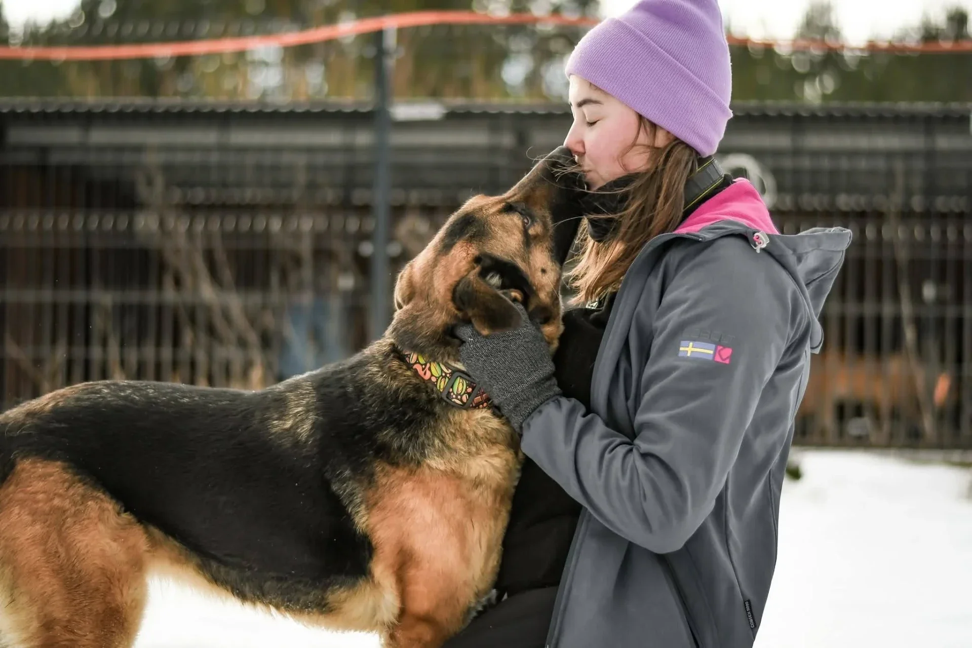Didi-älskar alla människor även barn. kan bo i barnfamilj. adopteras via ohana rescue