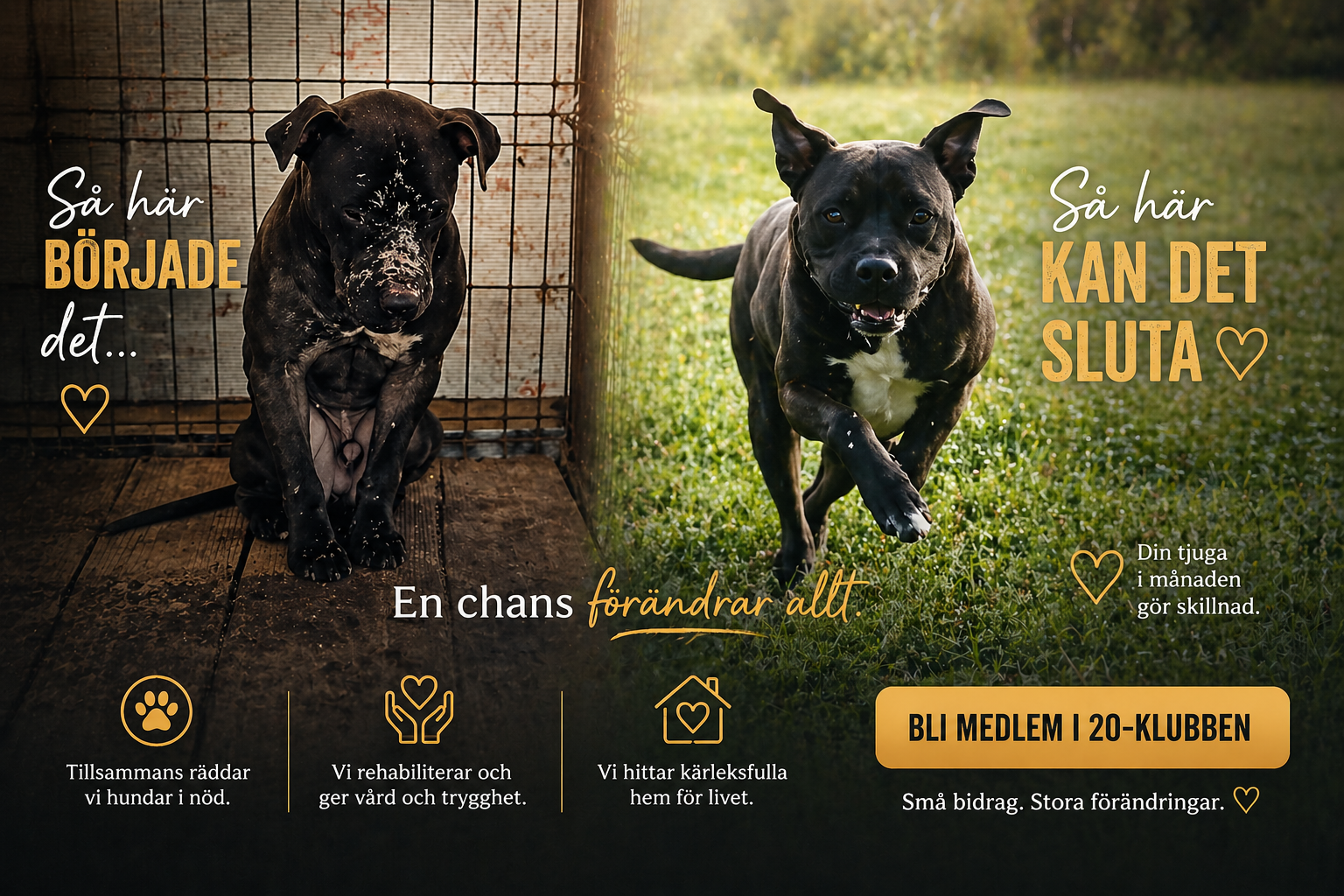 Bli medlem i Ohana 20-klubben och hjälp oss säga JA till fler utsatta hundar