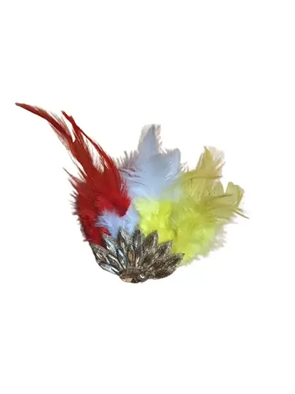 Oeteldonkse speld met steentjes en veren