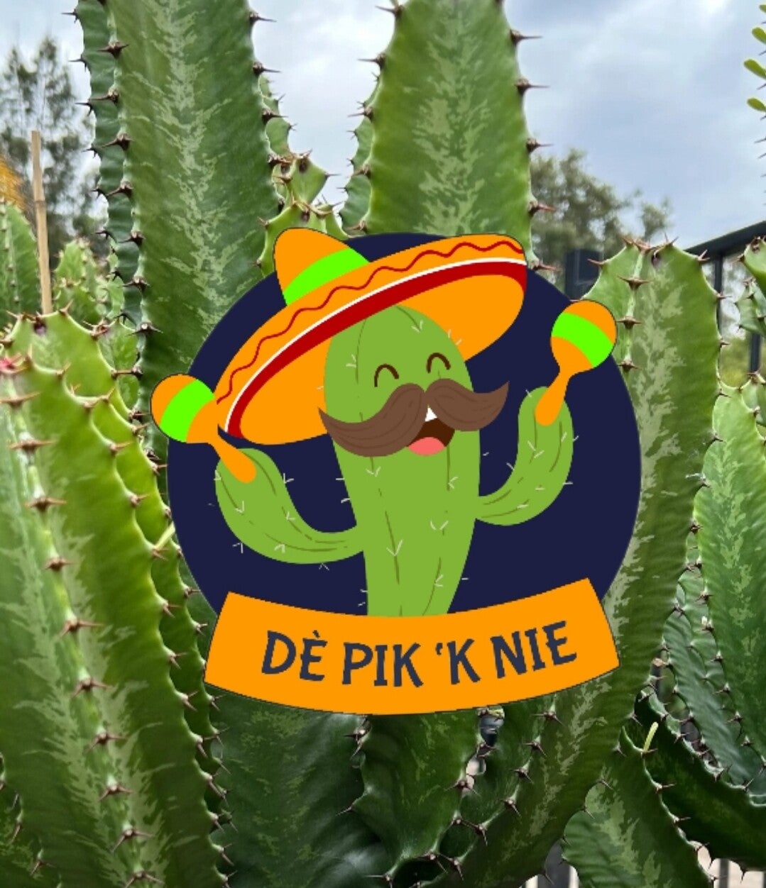 Embleem dè pik 'k nie