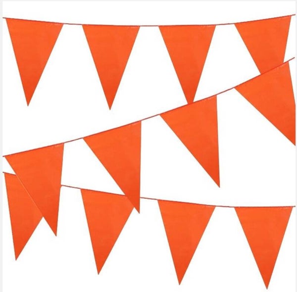 VLAGGENLIJN ORANJE - 10M