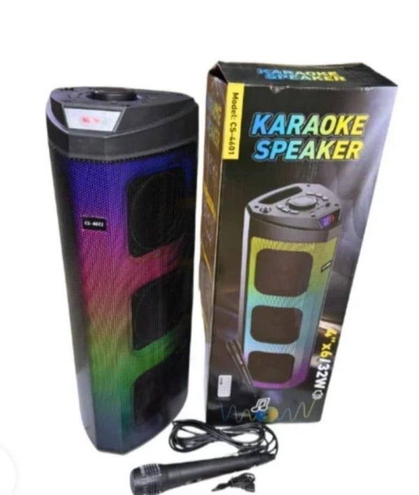 Karaoke speaker