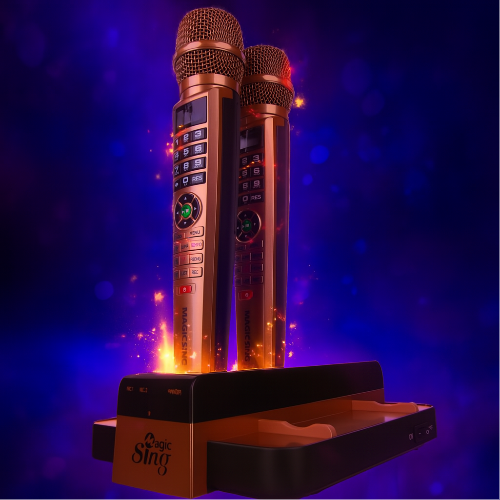 Karaoke huren bij DiscoDN te Berlare, Oost-Vlaanderen