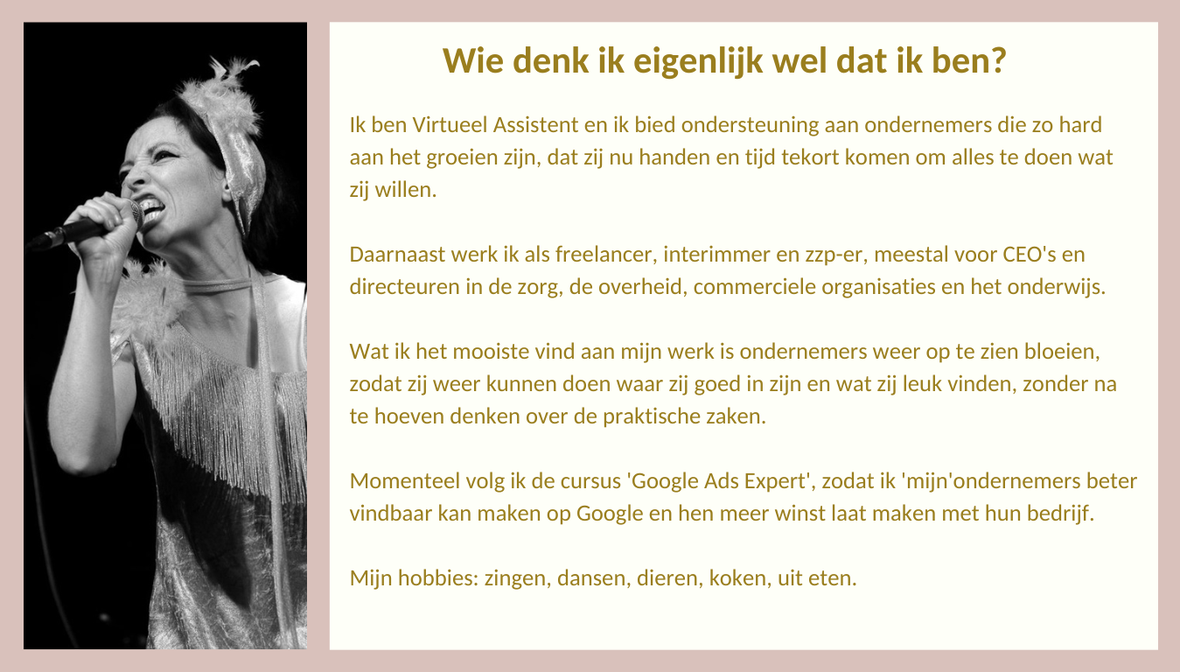 Wie denk ik dat ik ben? / Over Excellent Assistant | Excellent Assistant