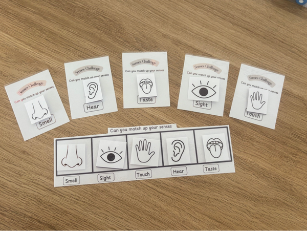 My Five Senses Board