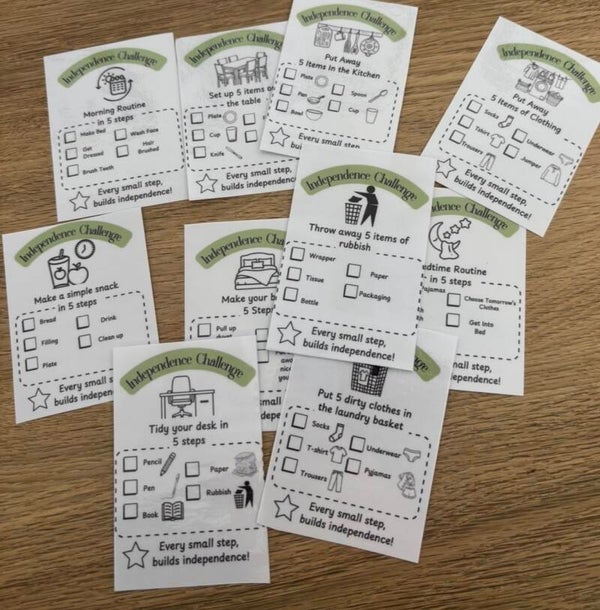 Independence challenge games BUNDLE - Put away 5 ITEMS ..