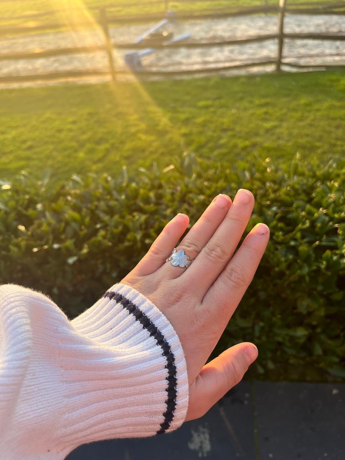 Ring blush