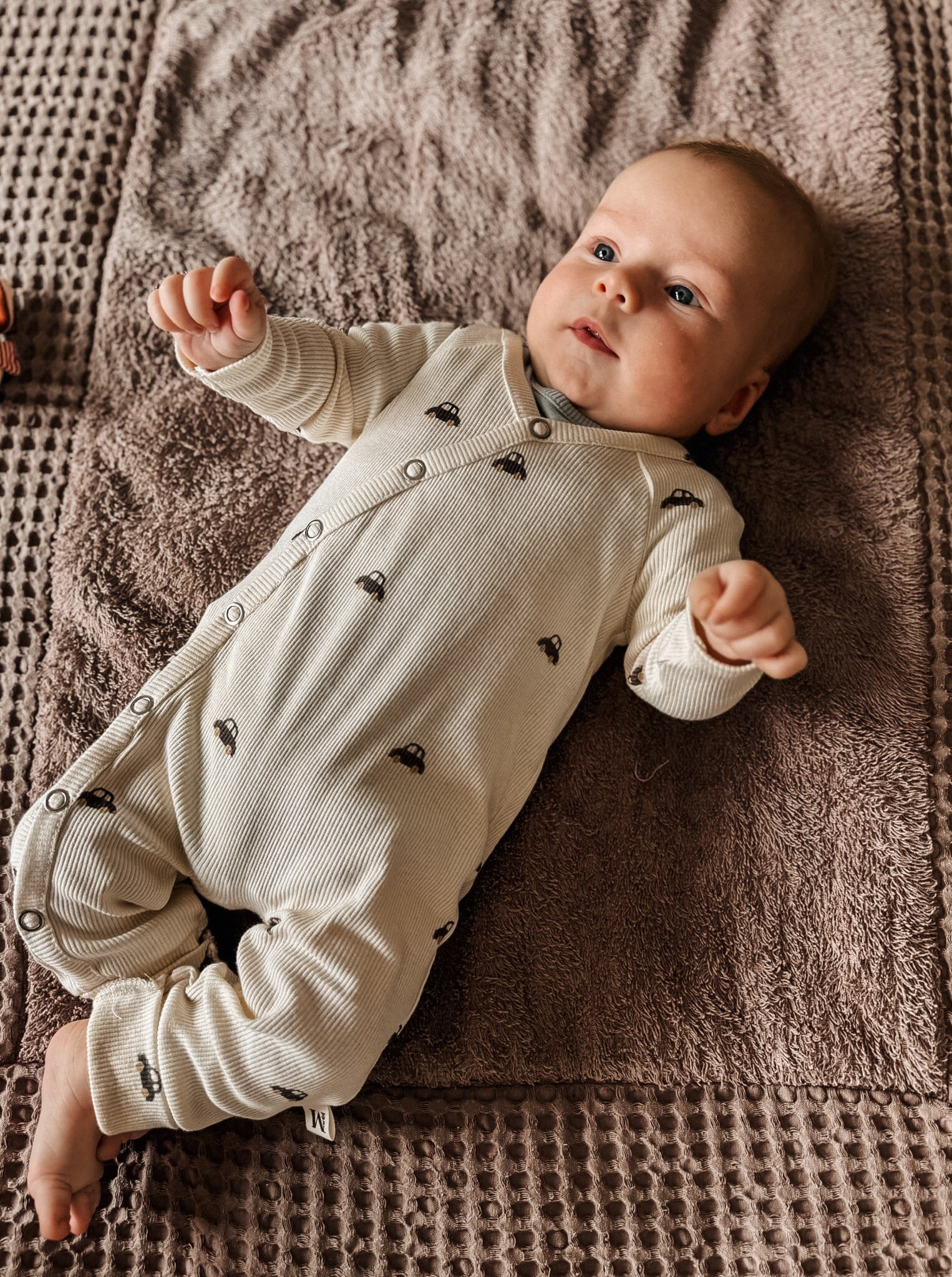 Boxpakje - Gots Cars