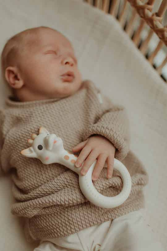 Sophie de Giraf - Bijtspeeltje