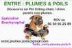 Entre : Plumes &amp; Poils