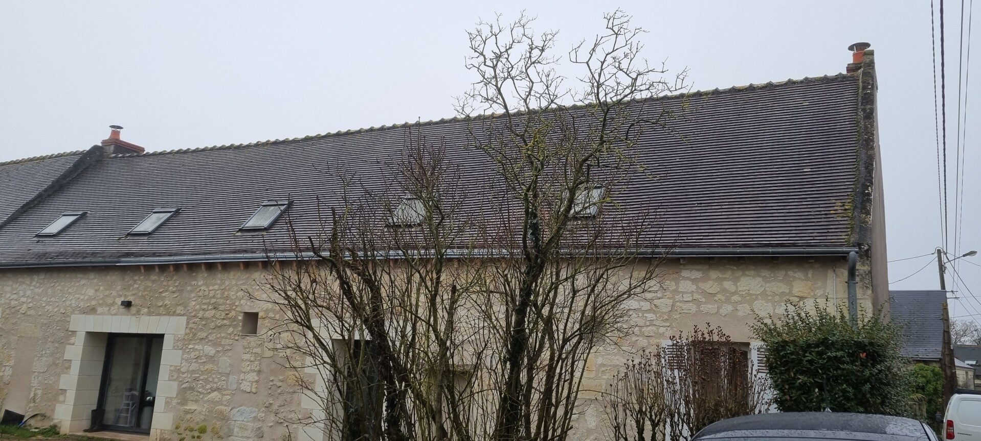 démoussage toiture  à la Chapelle sur Loire