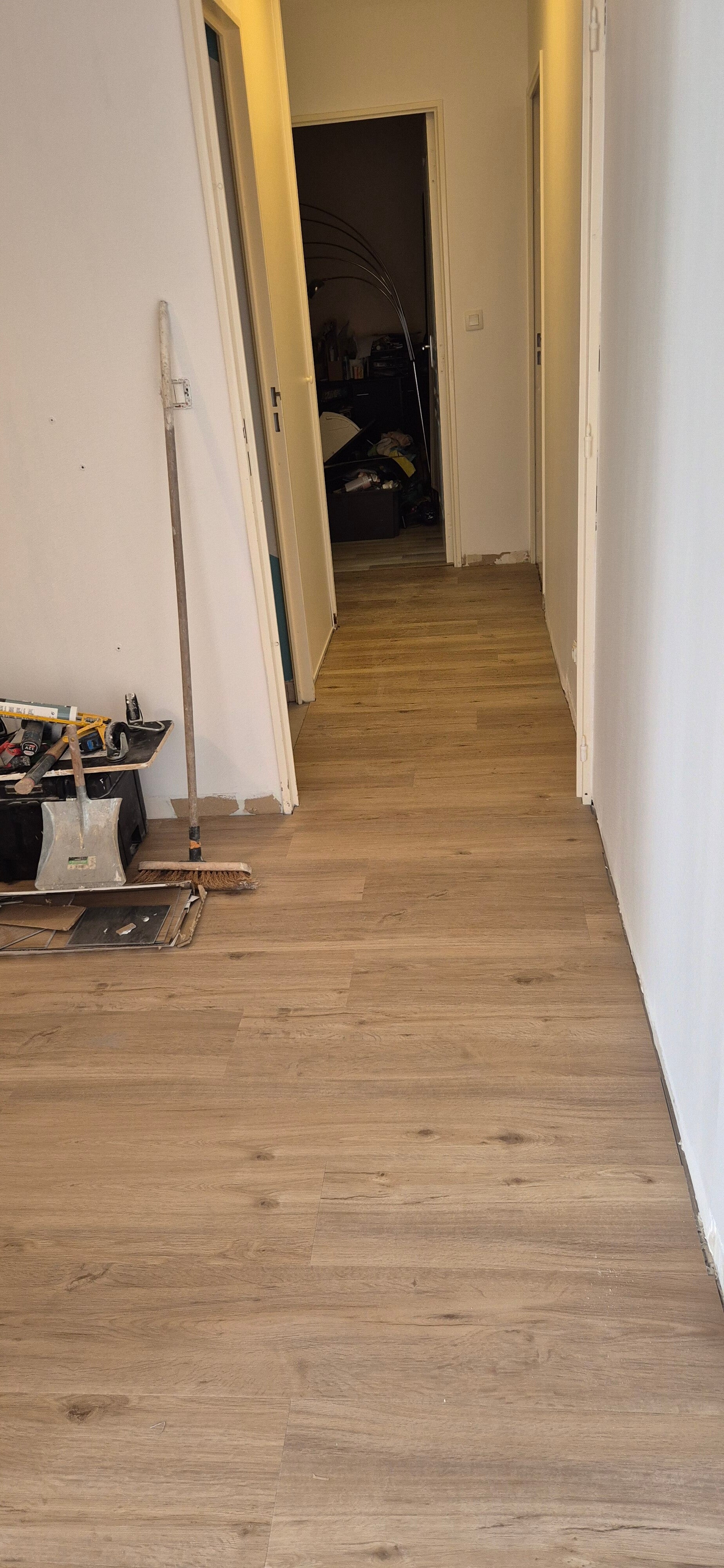 20260525_174649-standard.jpg