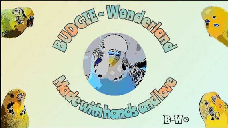 Budgie - Wonderland: Spielzeuge, Spielplätze usw.