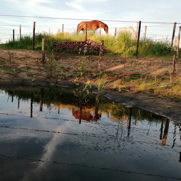 Privé-rondleiding en ontwerp voor je eigen terrein