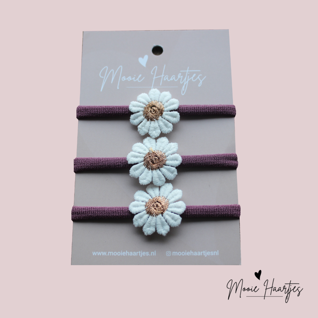 Elastiek groot | paars madelief