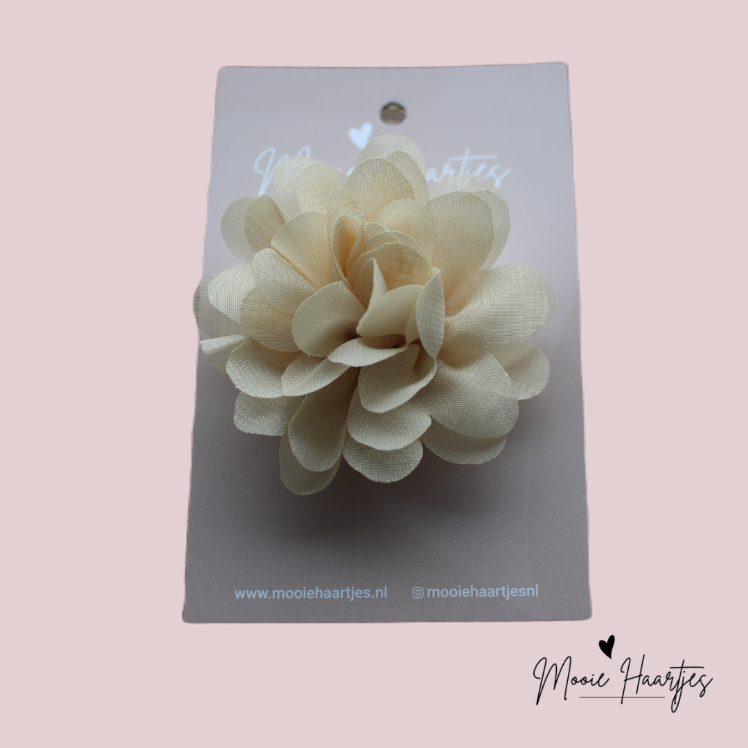 Bloem | beige