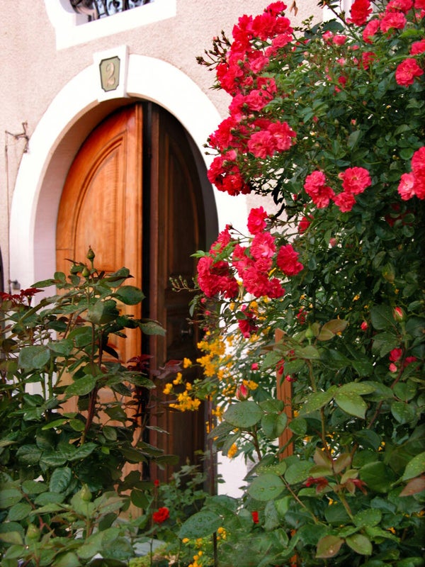 1761-Rosenstadt Bischofszell, beim Museum